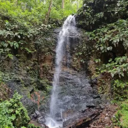 Brownsberg Nature Park - Batavia