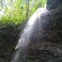 Brownsberg Nature Park - Batavia