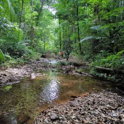 Brownsberg Nature Park - Batavia