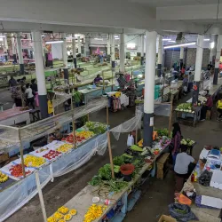 Local Market - Batavia