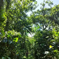 Peperpot Nature Park - Batavia