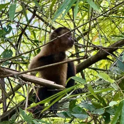 Peperpot Nature Park - Batavia