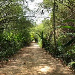 Peperpot Nature Park - Batavia