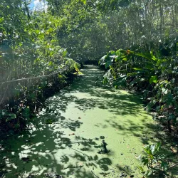 Peperpot Nature Park - Batavia