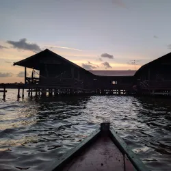 Bigi Pan Nature Reserve - Nieuw Nickerie