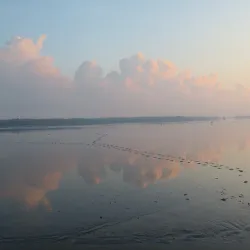 Bigi Pan Nature Reserve - Nieuw Nickerie