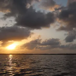 Bigi Pan Nature Reserve - Nieuw Nickerie