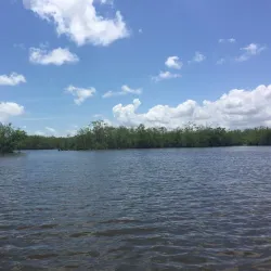 Bigi Pan Nature Reserve - Nieuw Nickerie