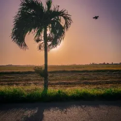 Nieuw Nickerie Cultural Center - Nieuw Nickerie