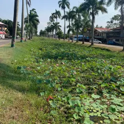 Nieuw Nickerie Cultural Center - Nieuw Nickerie