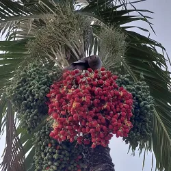 Nieuw Nickerie Cultural Center - Nieuw Nickerie