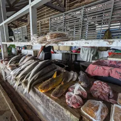 Nieuw Nickerie Market - Nieuw Nickerie