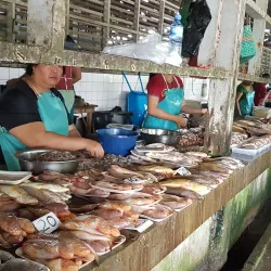 Nieuw Nickerie Market - Nieuw Nickerie