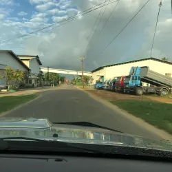 Rice Fields Surrounding Nieuw Nickerie - Nieuw Nickerie