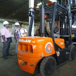 Rice Fields Surrounding Nieuw Nickerie - Nieuw Nickerie