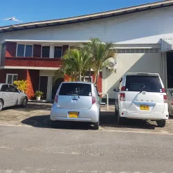 Rice Fields Surrounding Nieuw Nickerie - Nieuw Nickerie