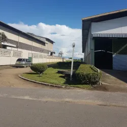 Rice Fields Surrounding Nieuw Nickerie - Nieuw Nickerie
