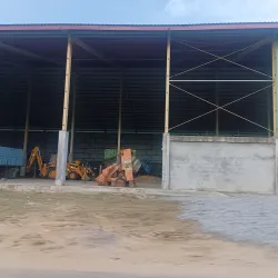 Rice Fields Surrounding Nieuw Nickerie - Nieuw Nickerie