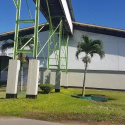 Rice Fields Surrounding Nieuw Nickerie - Nieuw Nickerie