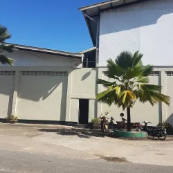 Rice Fields Surrounding Nieuw Nickerie - Nieuw Nickerie