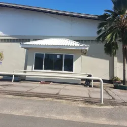Rice Fields Surrounding Nieuw Nickerie - Nieuw Nickerie