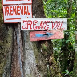 Brownsberg Nature Park - Paramaribo