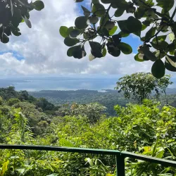 Brownsberg Nature Park - Paramaribo