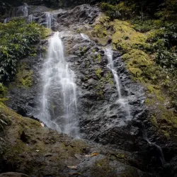 Brownsberg Nature Park - Paramaribo