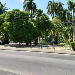 Palmentuin (Palm Garden) - Paramaribo