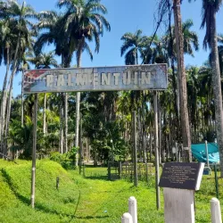 Palmentuin (Palm Garden) - Paramaribo
