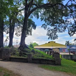 Palmentuin (Palm Garden) - Paramaribo