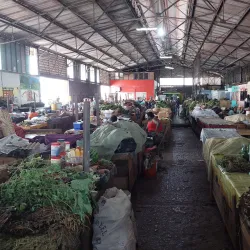Paramaribo Central Market - Paramaribo
