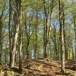 Haganäs Park - Almhult