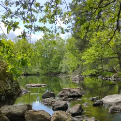 Ljungbyholm Nature Trail - Almhult