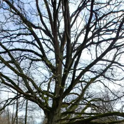 Ljungbyholm Nature Trail - Almhult