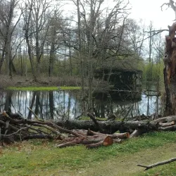 Ljungbyholm Nature Trail - Almhult