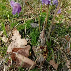 Ljungbyholm Nature Trail - Almhult