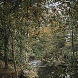 Ljungbyholm Nature Trail - Almhult