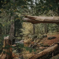 Ljungbyholm Nature Trail - Almhult