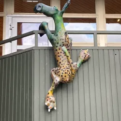 Älmhult Library - Almhult