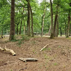 Hembygdsföreningen Ängelholm - Angelholm (Ängelholm)