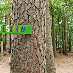 Hembygdsföreningen Ängelholm - Angelholm (Ängelholm)