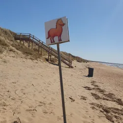 Ängelholm Beach (Ängelholms Stranden) - Angelholm (Ängelholm)