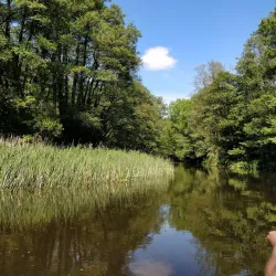Rönne River (Rönne å) - Angelholm (Ängelholm)