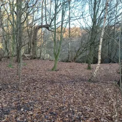 Törringelund Nature Reserve - Angelholm (Ängelholm)