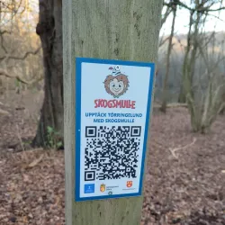 Törringelund Nature Reserve - Angelholm (Ängelholm)