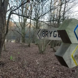 Törringelund Nature Reserve - Angelholm (Ängelholm)