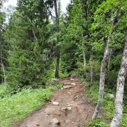 Åre Bike Park - Are