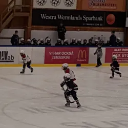 Arvika Folkets Park - Arvika