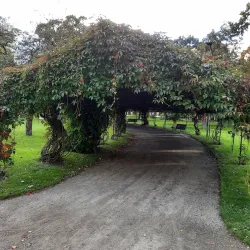 Arvika Old Town (Gamla Stan) - Arvika